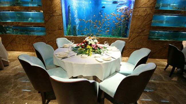 Four Seasons Rayli Hotel Ningpo Étterem fotó